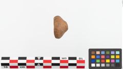 Foto von Spinnwirtel (NHMW-PRAE-023721)